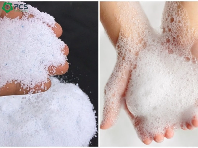 Hướng dẫn diệt mối tại nhà 